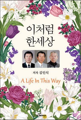 이처럼 한세상 표지