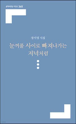 눈꺼풀 사이로 빠져나가는 저녁처럼 표지