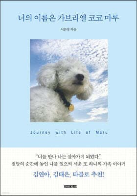 너의 이름은 가브리엘 코코 마루 표지