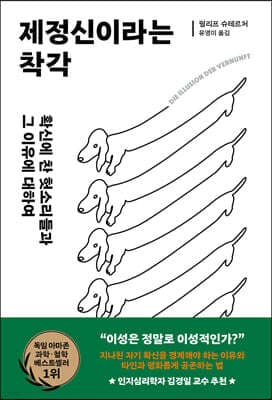 제정신이라는 착각 표지