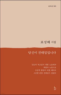 당신이 전태일입니다 표지