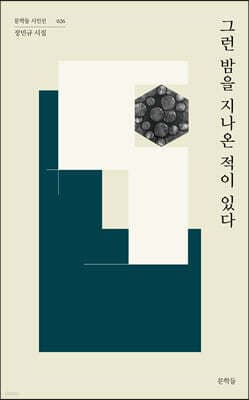 그런 밤을 지나온 적이 있다 표지