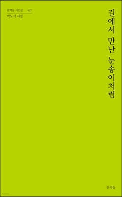 길에서 만난 눈송이처럼 표지