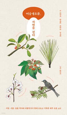 어승생오름, 자연을 걷다 표지