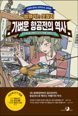 가벼운 항공전의 역사 표지