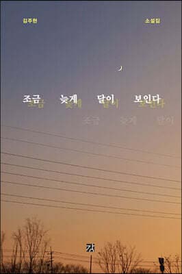 조금 늦게 달이 보인다 표지