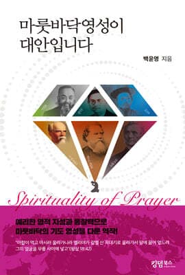마룻바닥영성이 대안입니다 표지