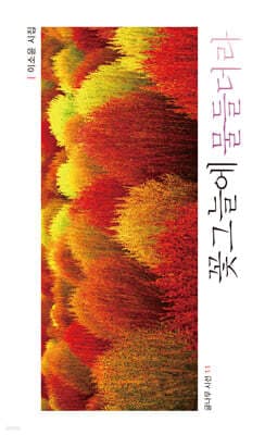꽃그늘에 물들더라 표지