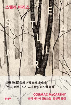 스텔라 마리스 표지