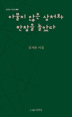 아물지 않은 상처와 한참을 놀았다 표지