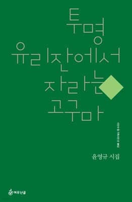 투명 유리잔에서 자라는 고구마 표지