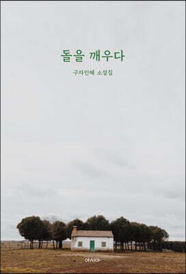 돌을 깨우다 표지