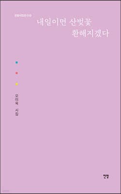 내일이면 산벚꽃 환해지겠다 표지