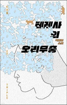 테레사의 오리무중 표지