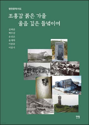 조홍감 붉은 가을 울음 깊은 들녘이여 표지