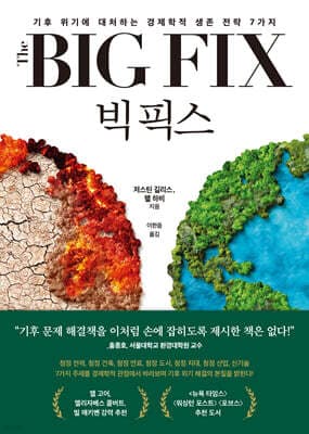빅 픽스 표지