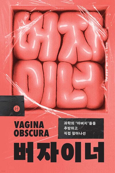 버자이너 표지
