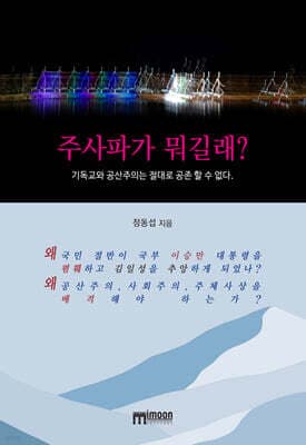 주사파가 뭐길래? 표지