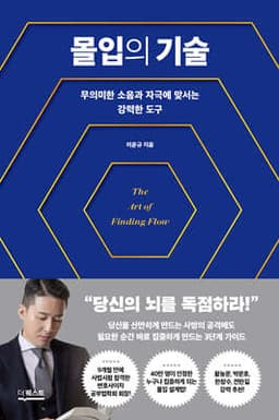 몰입의 기술 cover