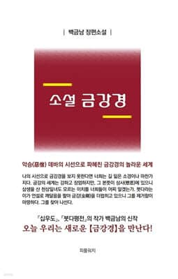 소설 금강경 표지