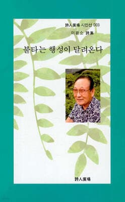 불타는 행성이 달려온다 표지