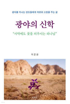 광야의 신학 표지