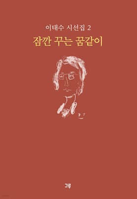 잠깐 꾸는 꿈같이 표지