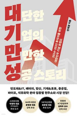 대기만성(대단한 기업의 만만한 성공 스토리) 표지