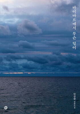 바이마르에서 무슨 일이 표지