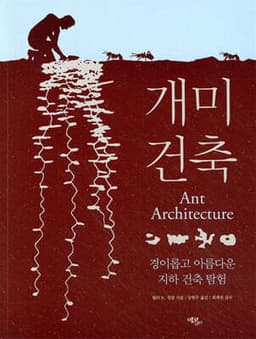 개미 건축 표지