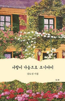 사랑이 가슴으로 오기까지 표지
