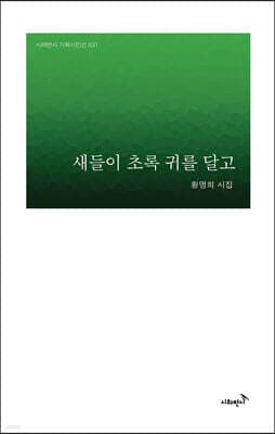 새들이 초록 귀를 달고 표지