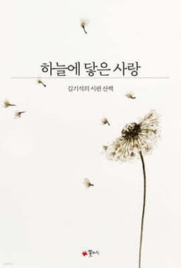 하늘에 닿은 사랑 표지