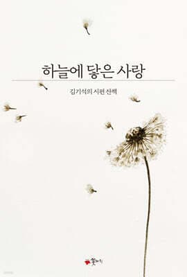 하늘에 닿은 사랑 표지