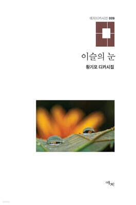 이슬의 눈 표지
