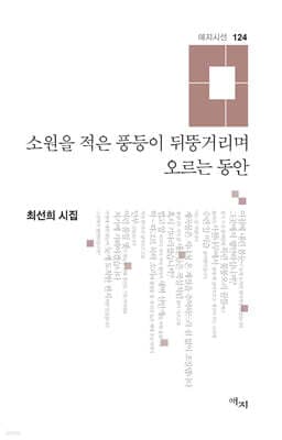 소원을 적은 풍등이 뒤뚱거리며 오르는 동안 표지