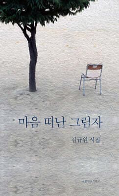 마음 떠난 그림자 표지