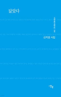 닮았다 cover