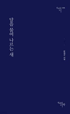 달을 물어 나르는 새 표지