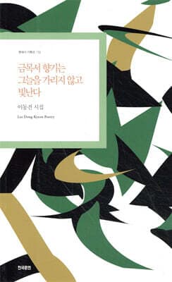 금목서 향기는 그늘을 가리지 않고 빛난다 표지