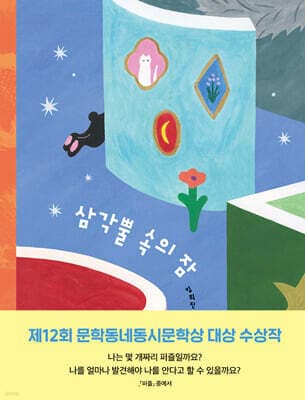 삼각뿔 속의 잠 표지