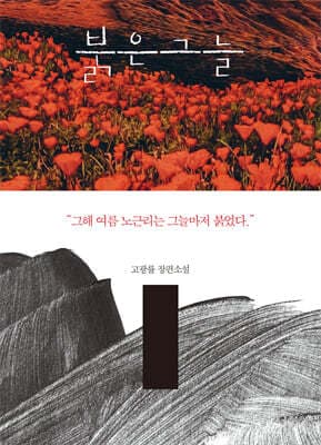붉은 그늘 표지