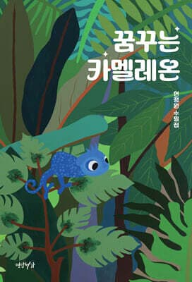 꿈꾸는 카멜레온 표지