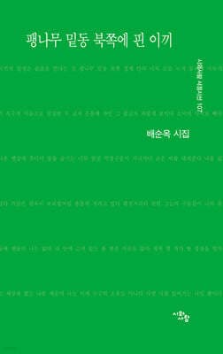 팽나무 밑동 북쪽에 핀 이끼 표지