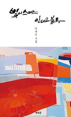 빛이 스미는 인디고블루 표지