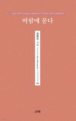 바람에 묻다 표지