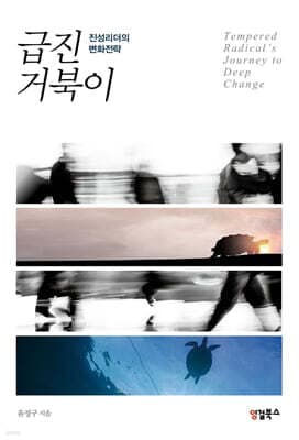 급진 거북이 표지