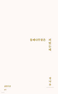 돌배나무꽃은 피었는데 표지