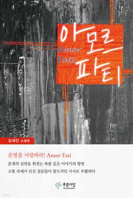 아모르파티 표지