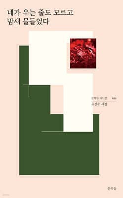 네가 우는 줄도 모르고 밤새 물들었다 표지
